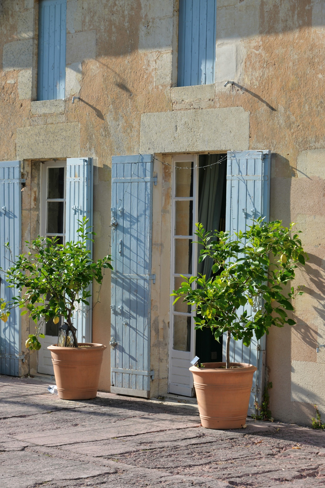 Pale blue shutters and lemon trees in terracotta pots against a weathered stone French villa façade